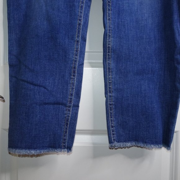 NWT Lee Plus Size High Rise Skinny Ankle Blue Jeans - Picture 4 of 7